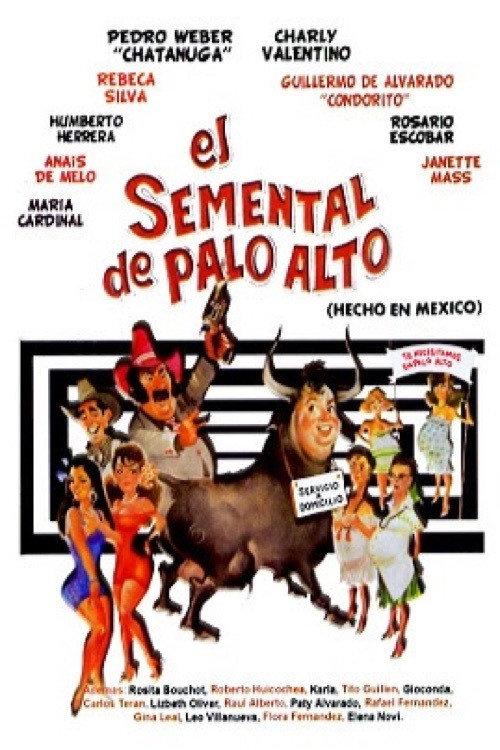 El semental de Palo Alto 1988 official movie poster