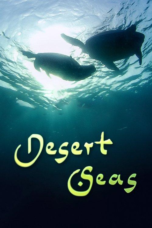 Desert Seas 2011 official movie poster