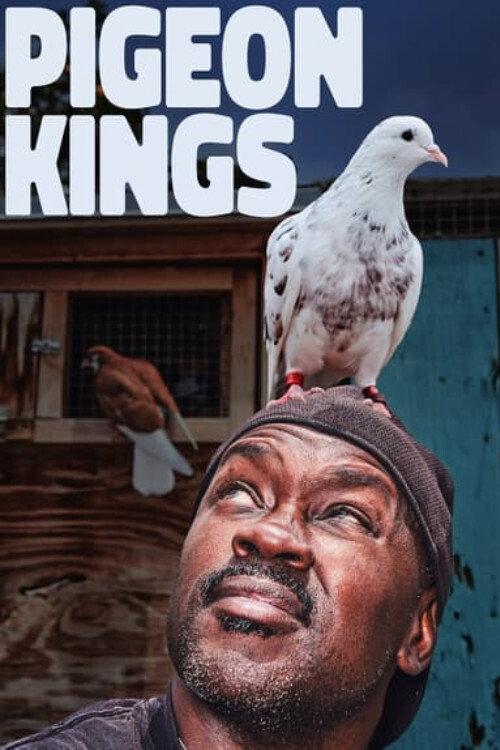 Pigeon Kings 2019 official movie poster