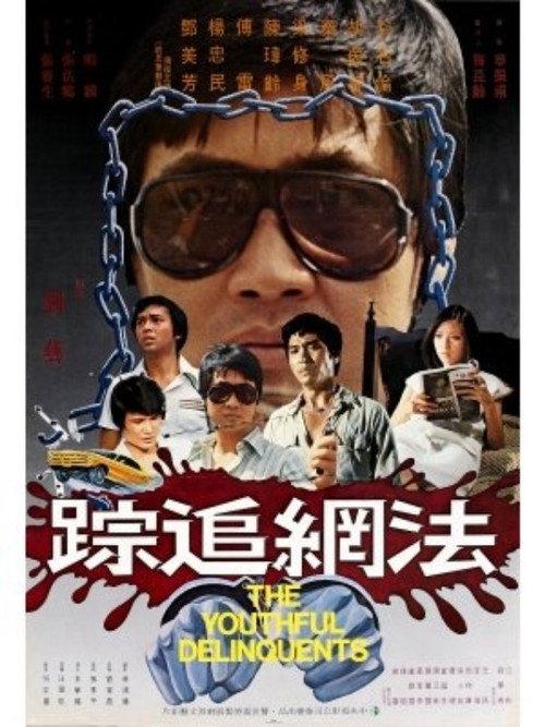 The Youthful Delinquents 1977 official movie poster
