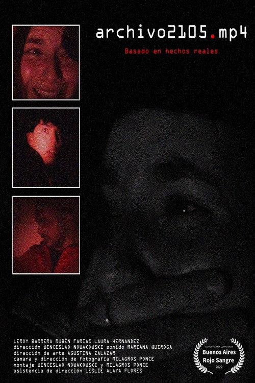 archivo2105.mp4 2022 official movie poster