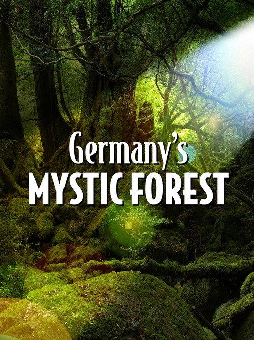 Germany's Mystic Forest 2020 official movie poster
