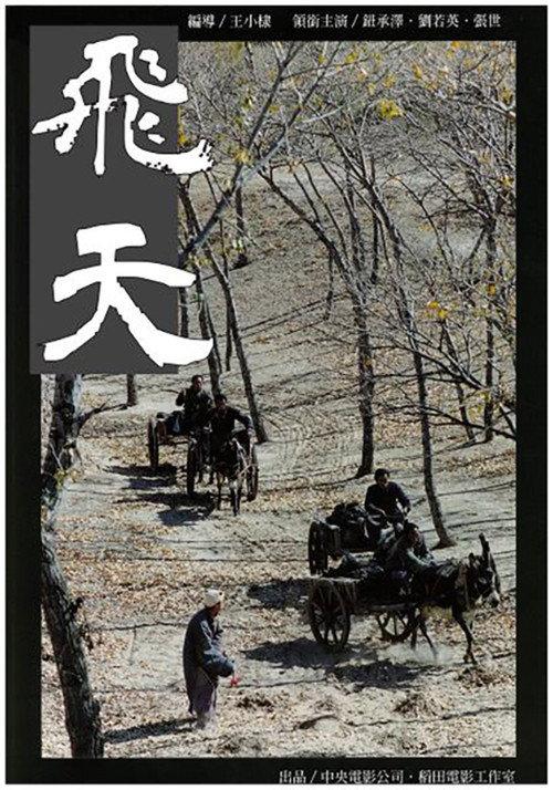 Accidental Legend 1995 official movie poster