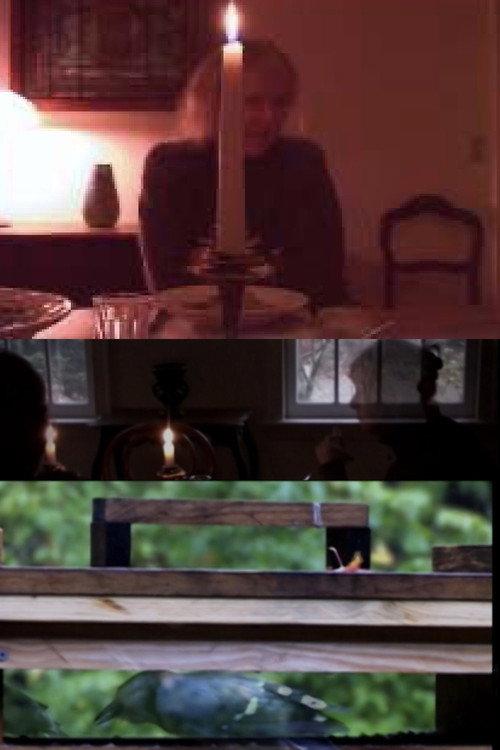 The Bird Feeders 2008 official movie poster