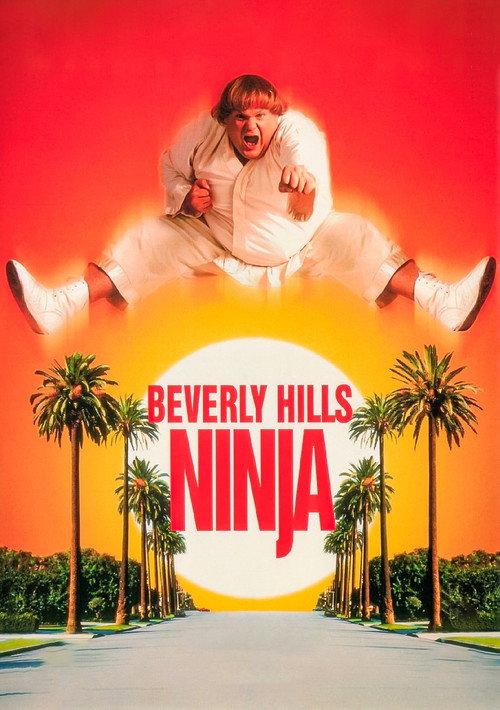 Beverly Hills Ninja 1997 official movie poster