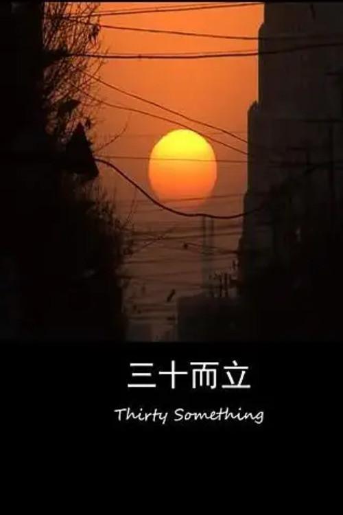 Thirty Something 2014 official movie poster
