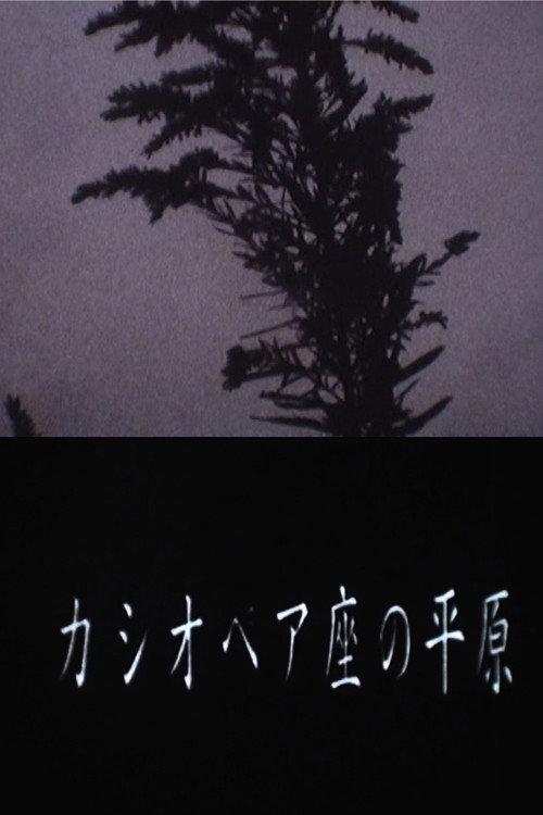 Cassiopeia Land 1996 official movie poster