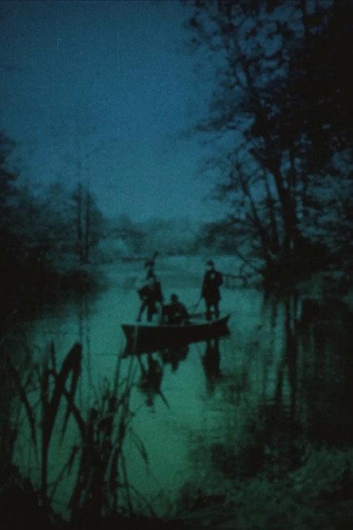Videokaseta 1976 official movie poster