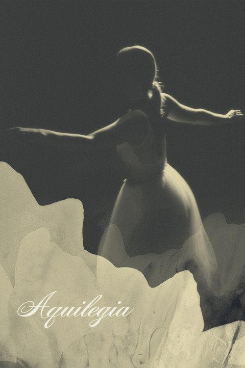 Aquilegia 2022 official movie poster