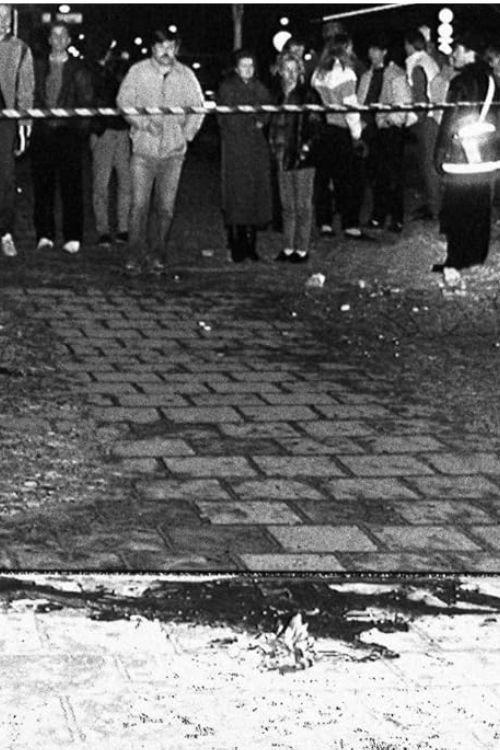 Murder in Stockholm 2001 official movie poster