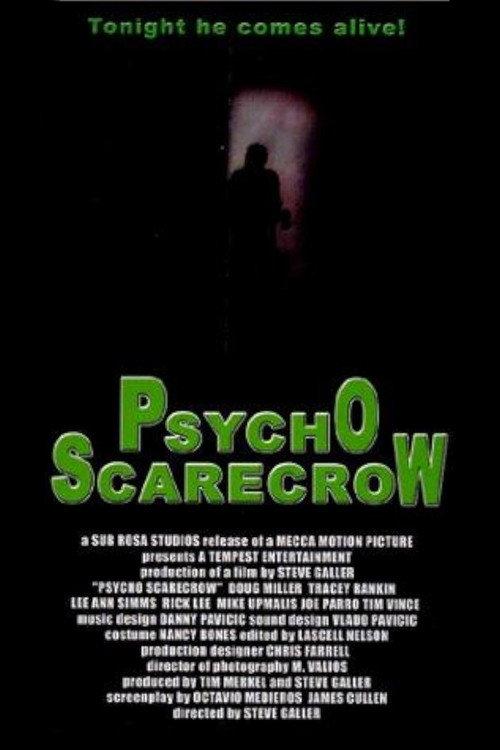 Psycho Scarecrow 1996 official movie poster