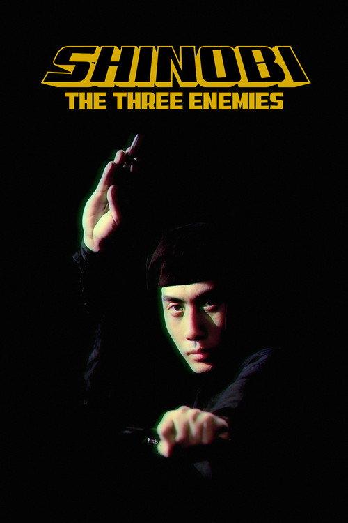 Shinobi no mono 8: The Three Enemies 1966 official movie poster