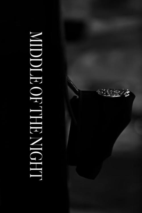 Middle of the Night 2015 official movie poster