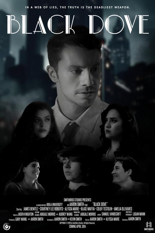 Black Dove 2026 official movie poster