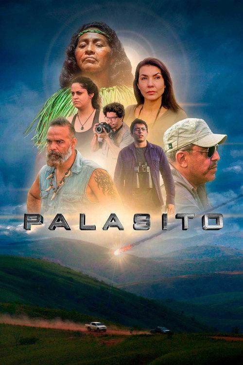 Pallasite 2021 official movie poster