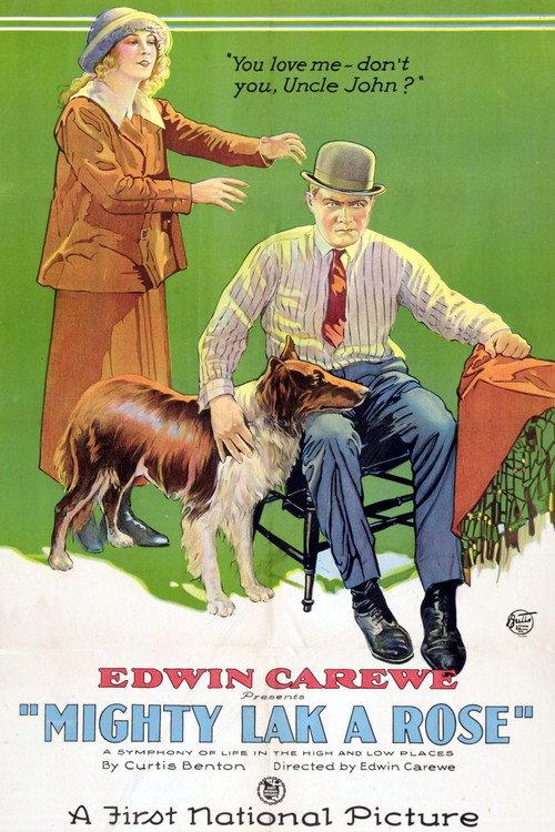 Mighty Lak' a Rose 1923 official movie poster