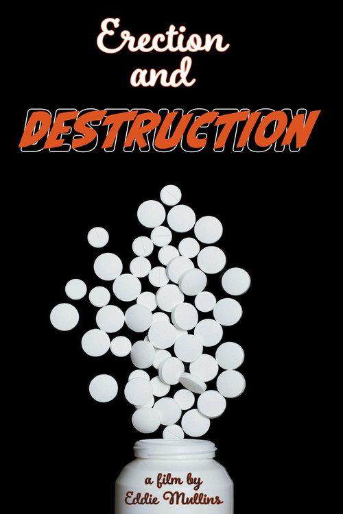 Erection and Destruction 2024 official movie poster