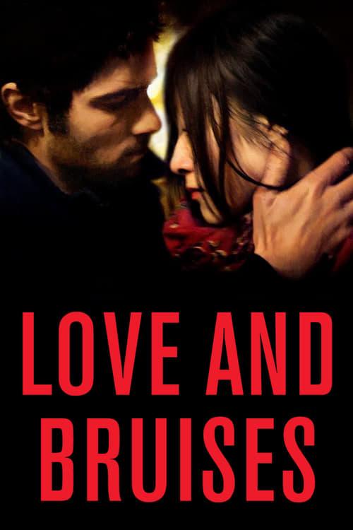 Love and Bruises 2011 official movie poster