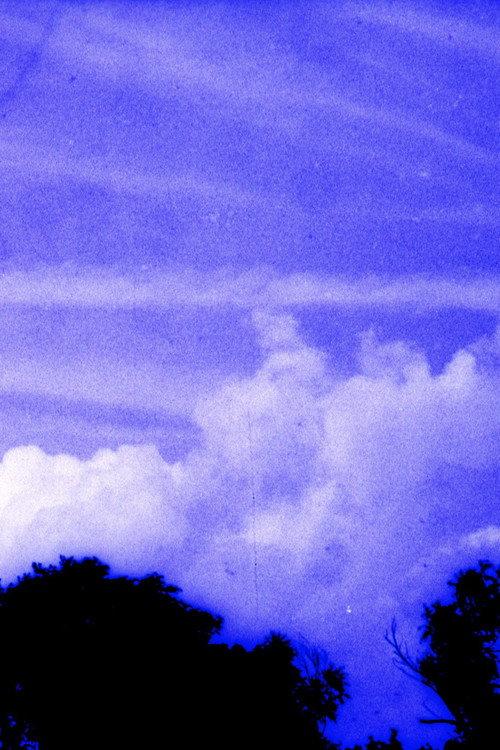 Anomalies in a Landscape 2025 official movie poster