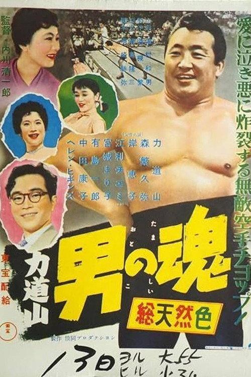 The Fighter in the Ring 1956 official movie poster