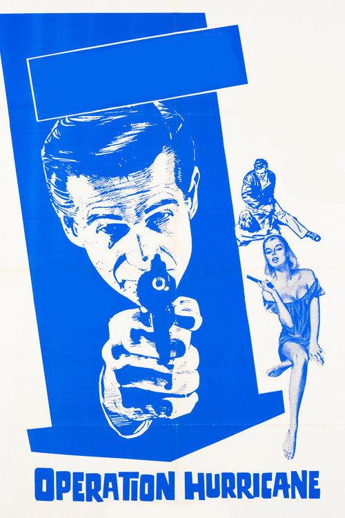 The Violin Case Murders 1965 official movie poster