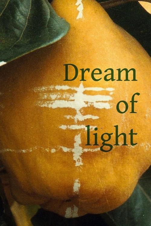 Dream of Light 1992 official movie poster