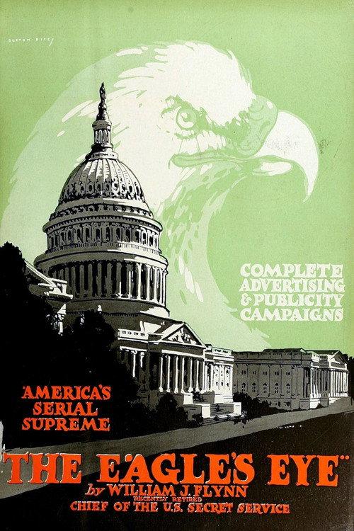 The Eagle's Eye 1918 official movie poster