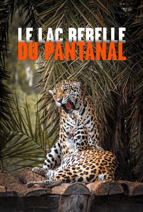 The Pantanal's Rebel Lake 2019 official movie poster