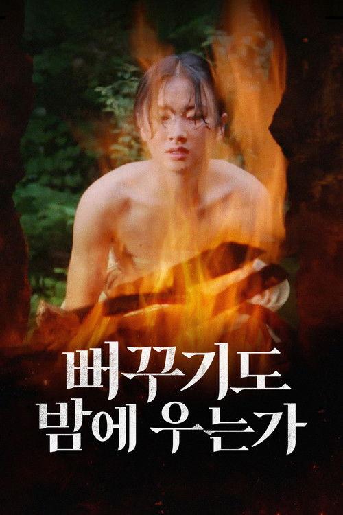 Shall Cuckoo Sing at Night 1980 official movie poster