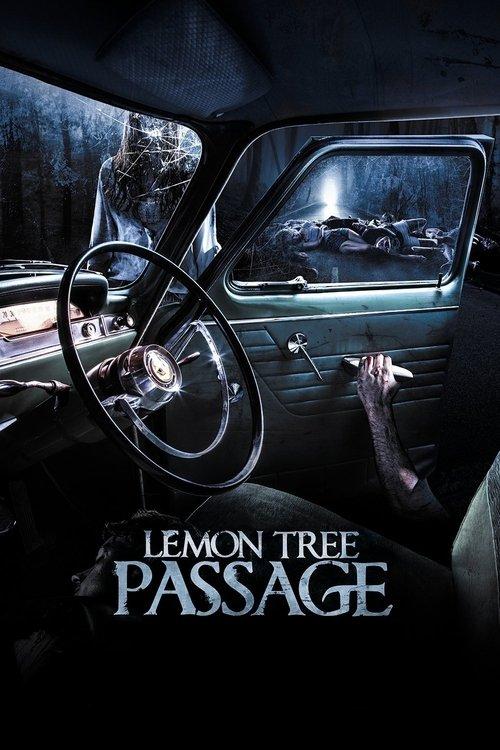 Lemon Tree Passage 2014 official movie poster