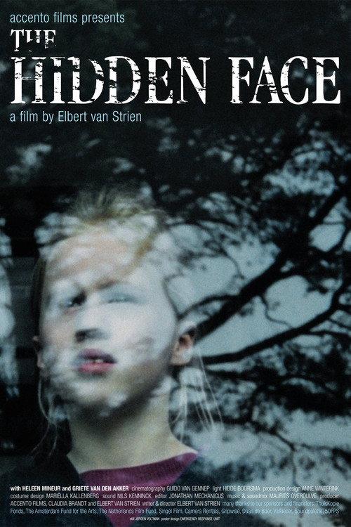 The Hidden Face 2004 official movie poster
