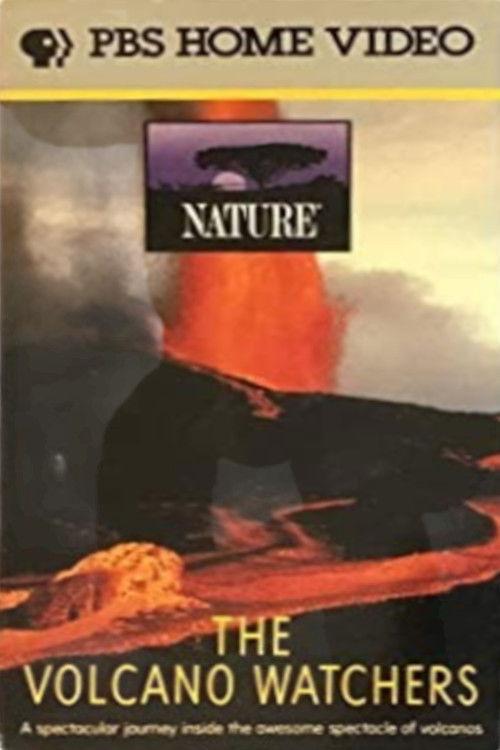 The Volcano Watchers 1987 official movie poster