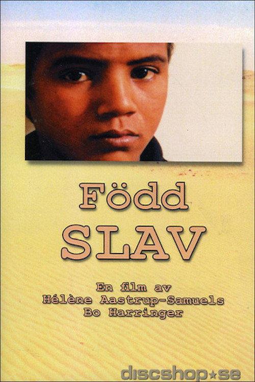 Born Slave 2003 official movie poster