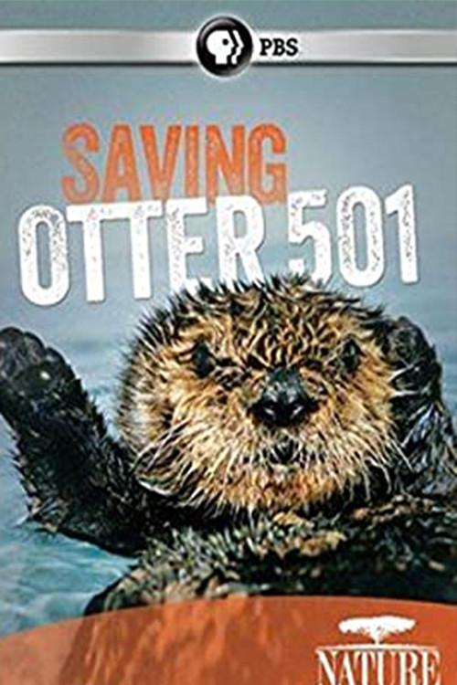 Saving Otter 501 2013 official movie poster