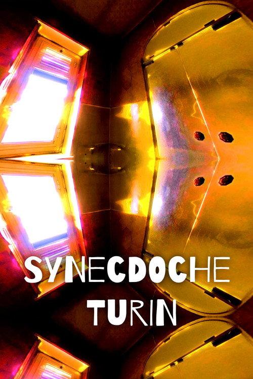 Synecdoche Turin 2020 official movie poster