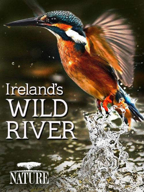 Ireland's Wild River 2014 official movie poster