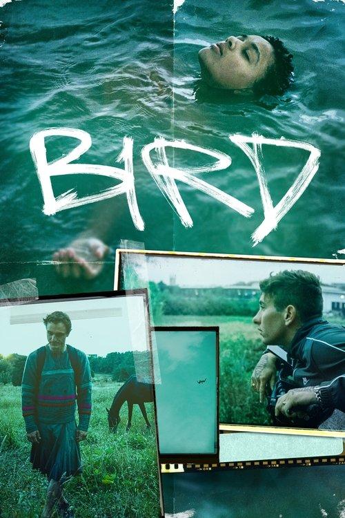 Bird 2024 official movie poster