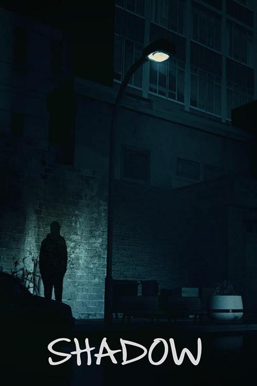 Shadow 2011 official movie poster