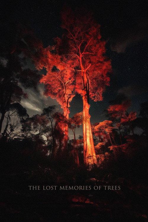 The Lost Memories Of Trees 2023 official movie poster