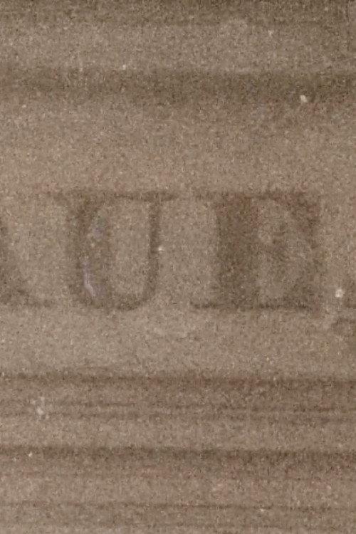 Paulinenaue 2025 official movie poster