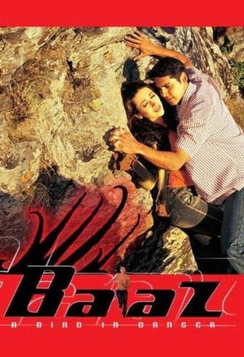 Baaz: A Bird in Danger 2003 official movie poster