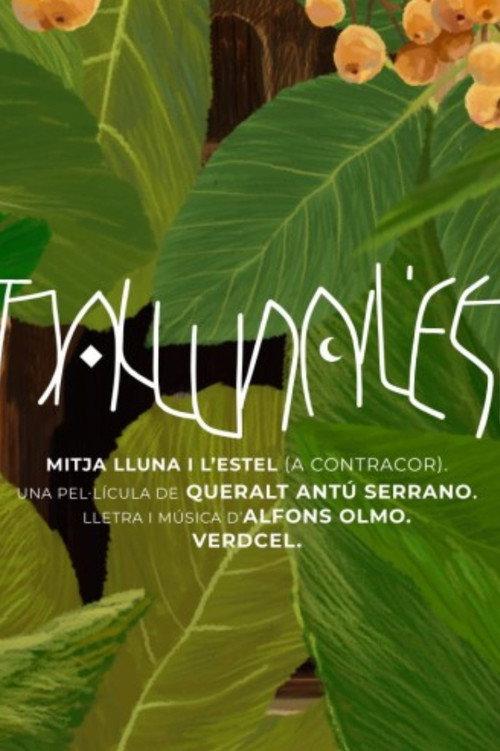 Mitja lluna i l’estel  official movie poster