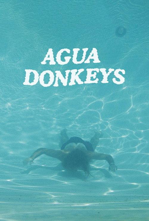 Agua Donkeys 2018 official movie poster