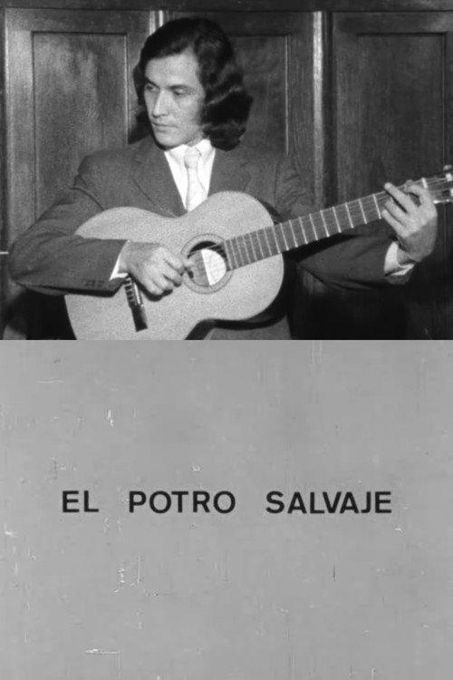 El potro salvaje 1971 official movie poster
