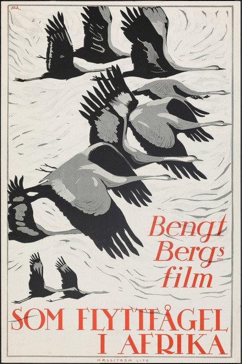 As a Migratory Bird in Africa 1922 official movie poster