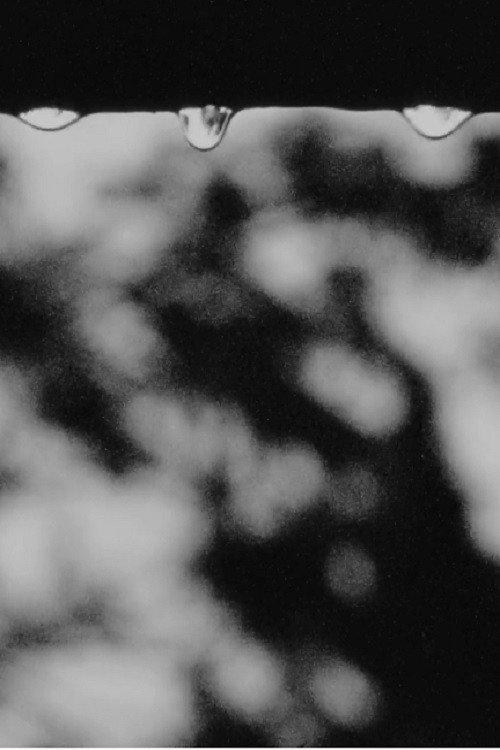 While You Were Sleeping 2003 official movie poster