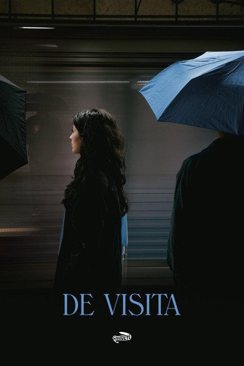 DE VISITA 2024 official movie poster