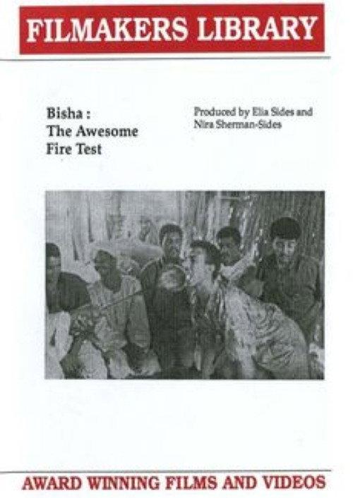 Bisha: The Awesome Fire Test 1995 official movie poster