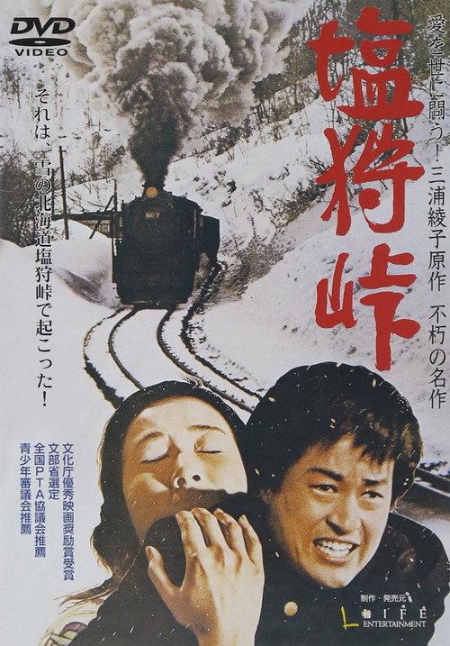 Love Stopped the Runaway Train 1973 official movie poster