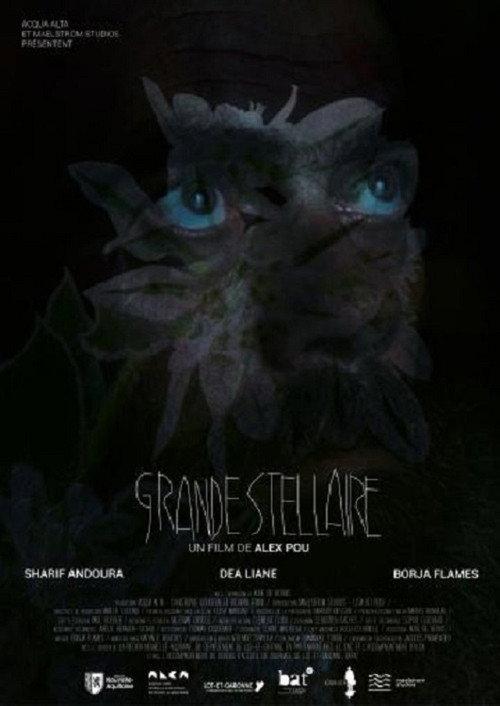 Grande Stellaire 2024 official movie poster